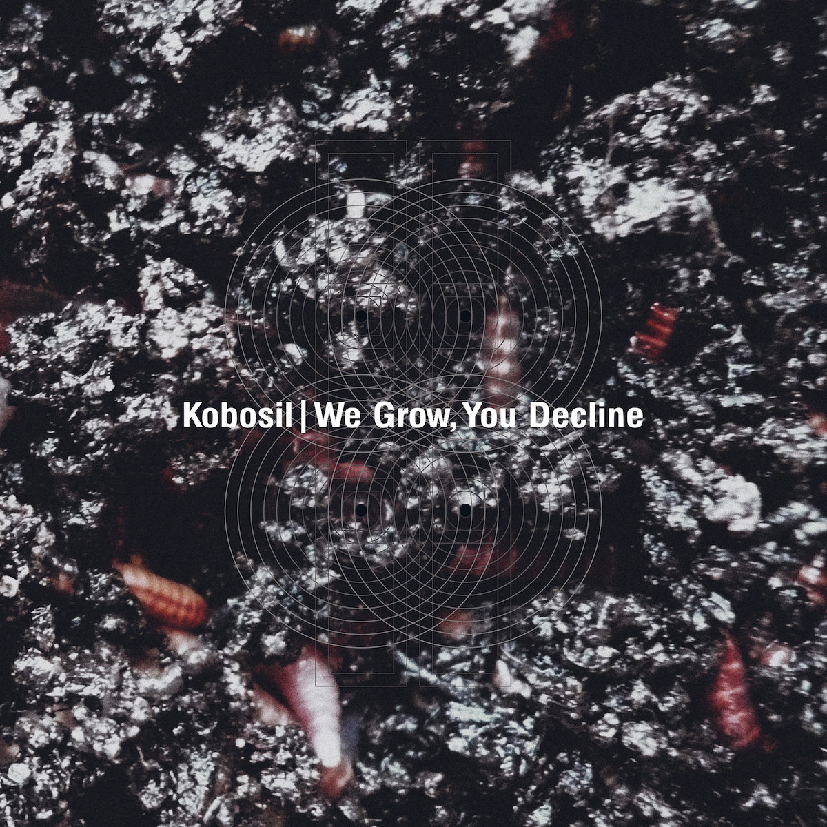 Album of the week: Kobosil – We Grow, You Decline