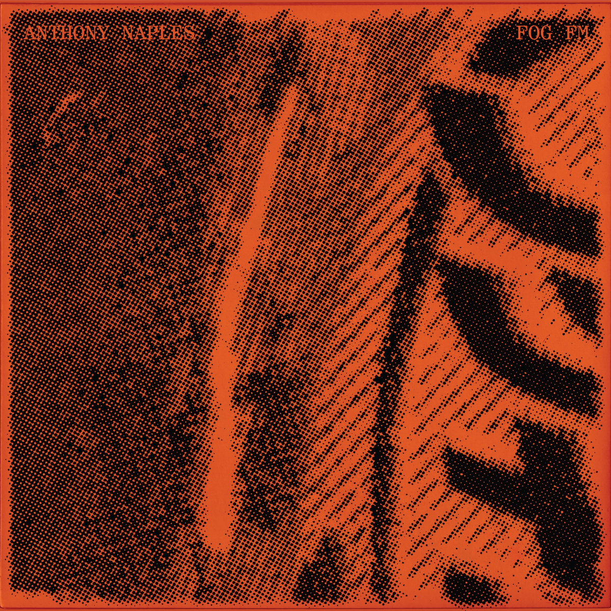 Album of the Week: Anthony Naples – Fog FM